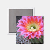 Aimant Pop de cactus rose (Recto/Verso)