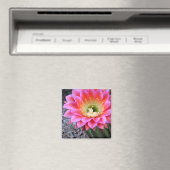Aimant Pop de cactus rose (In Situ (Lave-vaisselle))