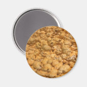 Aimant Popcorn (Recto/Verso)