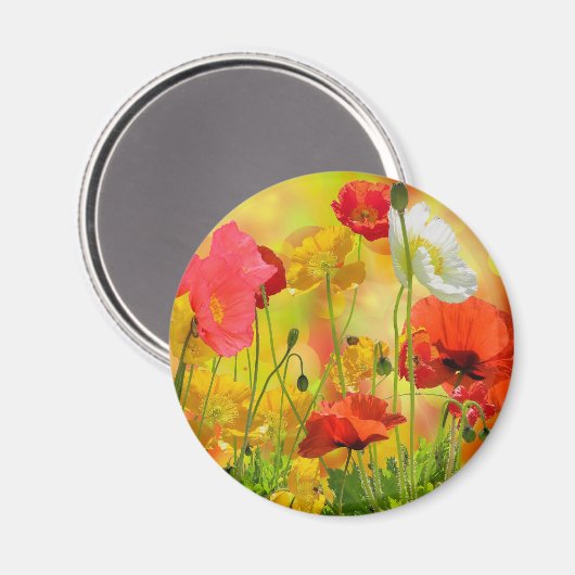 Aimant Poppies colorées (Recto/Verso)