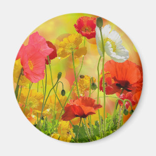 Aimant Poppies colorées