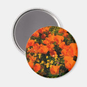 Aimant Poppies de Californie (Recto/Verso)