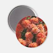 Aimant Poppies I (Recto/Verso)