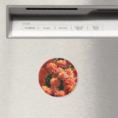 Aimant Poppies I (In Situ (Lave-vaisselle))