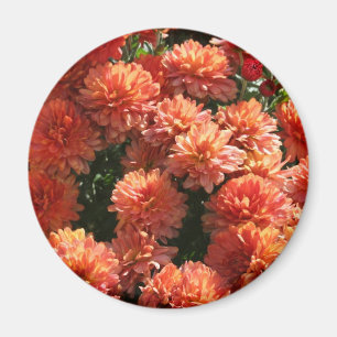 Aimant Poppies I