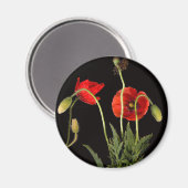 Aimant Poppies Rouges Vibrantes Sur Noir (Recto/Verso)