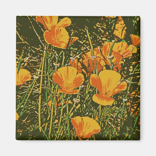 Aimant Poppies stérilisées (Devant)