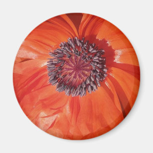 Aimant Poppy