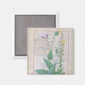 Aimant Poppy et Figwort (Recto/Verso)