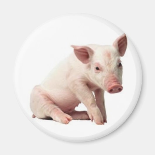 Aimant porc (Devant)