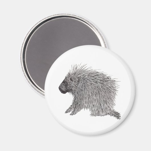 Aimant Porcupine (Recto/Verso)