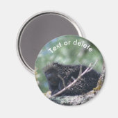 Aimant Porcupine Wildlife Animal Nature Personalized (Recto/Verso)