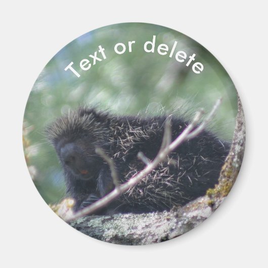 Aimant Porcupine Wildlife Animal Nature Personalized (Devant)