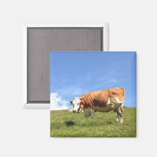 Aimant Portier de Fernerblick (Recto/Verso)