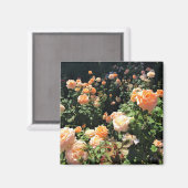 Aimant Portland Rose Garden (Recto/Verso)