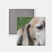 Aimant Portrait (Recto/Verso)