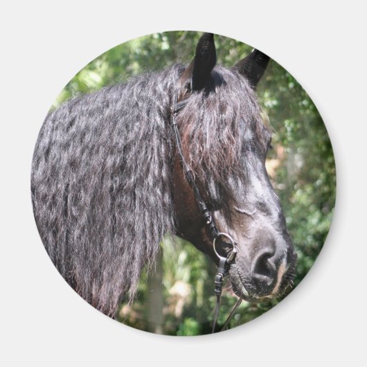 Aimant Portrait (Devant)