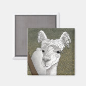 Aimant Portrait d'alpaca 2 (Recto/Verso)