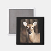 Aimant Portrait de biche de cerf de Virginie (Recto/Verso)