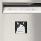 Aimant Portrait de chat noir et blanc (In Situ (Lave-vaisselle))