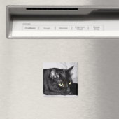 Aimant Portrait de chat noir mignon (In Situ (Lave-vaisselle))