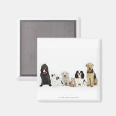 Aimant Portrait de chats et de chiens assis ensemble (Recto/Verso)