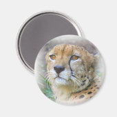 Aimant Portrait de Cheetah (Recto/Verso)
