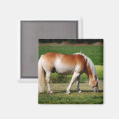 Aimant Portrait de cheval (Recto/Verso)