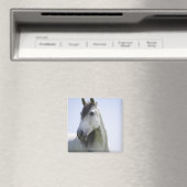 Aimant portrait de cheval blanc (In Situ (Lave-vaisselle))