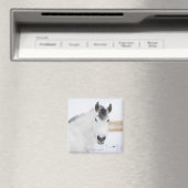 Aimant portrait de cheval blanc (In Situ (Lave-vaisselle))