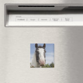 Aimant Portrait de cheval Clydesdale (In Situ (Lave-vaisselle))