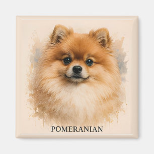 Aimant Portrait de chien compagnon du Poméranie moelleux