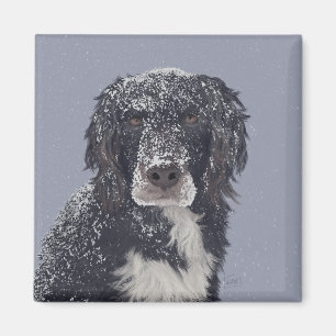 Aimant Portrait de chien croisé Spaniel