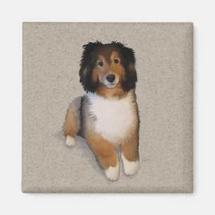 Aimant Portrait de chien mélange Sheltie