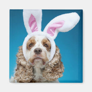Aimant Portrait de chien utilisant des oreilles de lapin