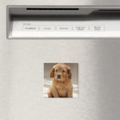 Aimant Portrait de chiot mignon photo (In Situ (Lave-vaisselle))