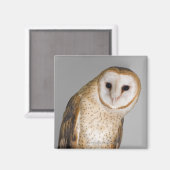 Aimant Portrait de chouette de grange (Tyto alba). (Recto/Verso)