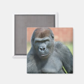 Aimant Portrait de corde de Gorilla Blackback (Recto/Verso)
