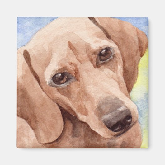 Aimant Portrait de Dachshund à poil court (Devant)