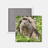 Aimant Portrait de fond dans un journal de blocage (Recto/Verso)