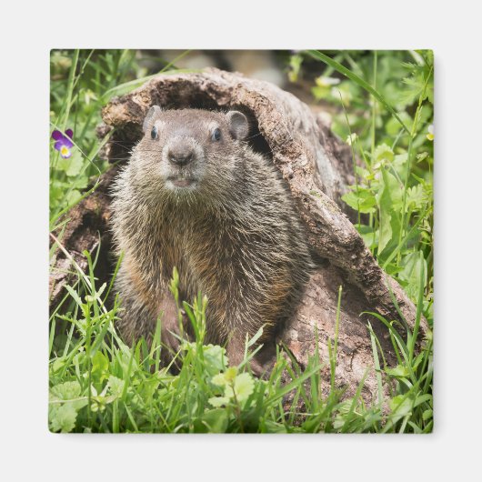 Aimant Portrait de fond dans un journal de blocage (Devant)