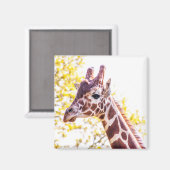 Aimant Portrait de Giraffe (Recto/Verso)