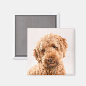 Aimant Portrait de Goldendoodle Studio (Recto/Verso)