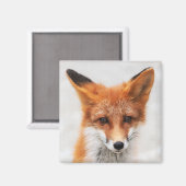 Aimant Portrait de mignon renard rouge sauvage avec de be (Recto/Verso)