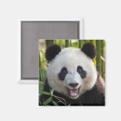 Aimant Portrait de Panda Souriant (Recto/Verso)