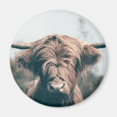Aimant Portrait de vache highland (Devant)