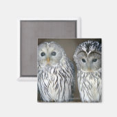 Aimant Portrait des chouettes (Recto/Verso)