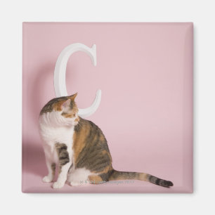 Aimant Portrait du chat
