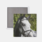 Aimant portrait du cheval blanc 2 (Recto/Verso)