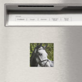 Aimant portrait du cheval blanc 2 (In Situ (Lave-vaisselle))